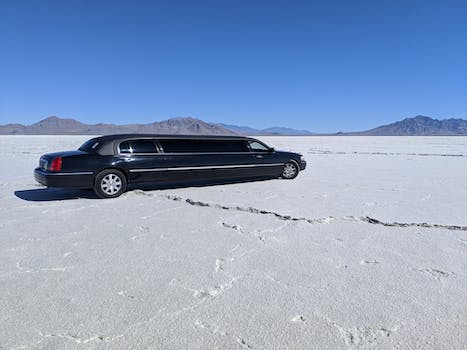 Exploring Long Island in a Luxurious Limo