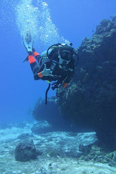 Exploring the Great Barrier Reef Solo