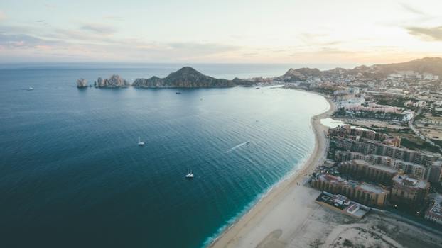 Discovering the Unexpected Wildlife of Cabo San Lucas