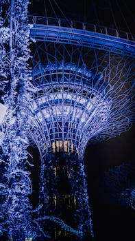 Exploring the Majestic Supertree Observatory at Singapore's Gardens by the Bay