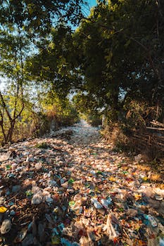 Is It Necessary to Dispose of Polluted Soil?