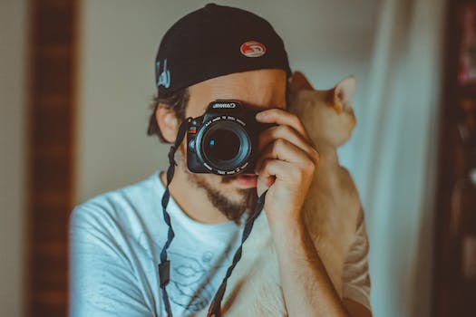 Tips for a Successful Cat Photo Shoot