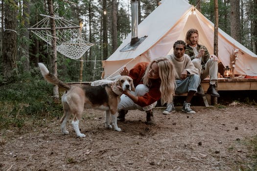 Solo Camping with Canine Companions and Nostalgic Cassette Tapes