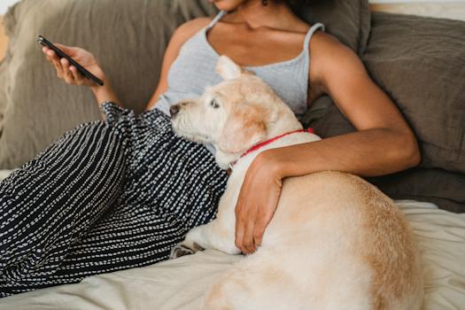 6 Techniques I've Used to Gain Dogs' Affection