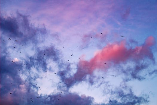 Soar High, Even as You Fly (Poem)