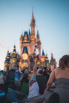 My Experience at Disney World: Fun-Filled Yet Costly