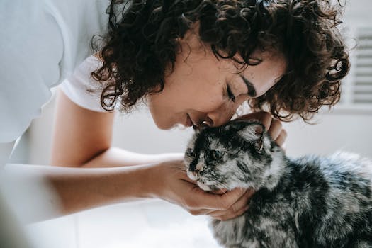 The Benefits of Having a Feline Companion: Exploring the Joys of Cat Ownership