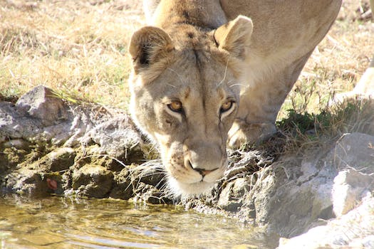 Dealing with Water Trapped in the Ears